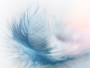 pluma azul